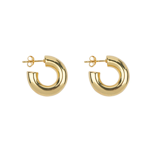 Small Shiny Hoop Earring