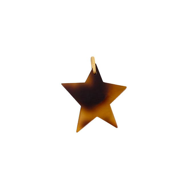 Charm Leopard Star