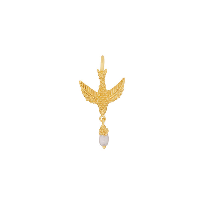 Charm Bird