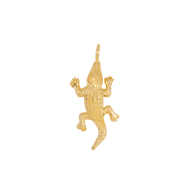 Charm Lizard