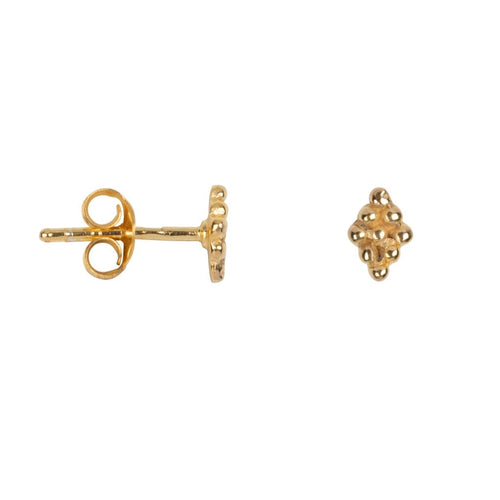E2038 Gold EARRING Dotted Wieber Stud Earring Gold Plated 24,95 euro