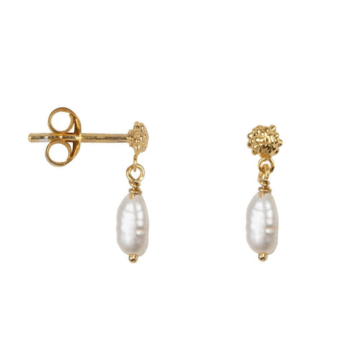 Dotted Stud Pearl Stud Earring Gold Plated