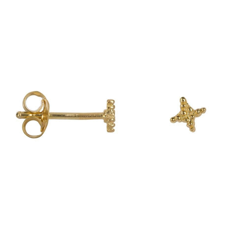 Dotted Cross Star Stud Earring Gold Plated